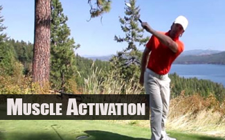 Golf Biomechanics - Muscle Activation in the Swing