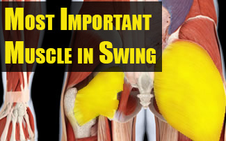 Proper Weight Shift to the Left in the Golf Swing