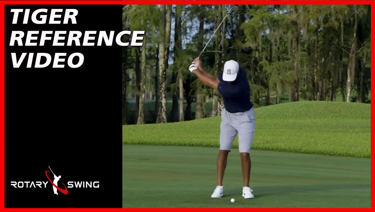 4.16 Tiger Woods 80 yd Face On Reference Video